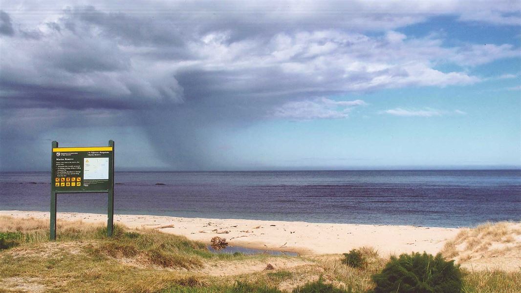 Scenic beach with DOC sign