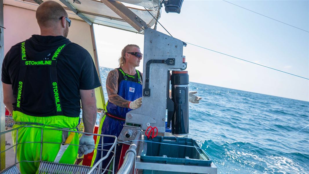 Underwater bait-setter on fishing boat. 