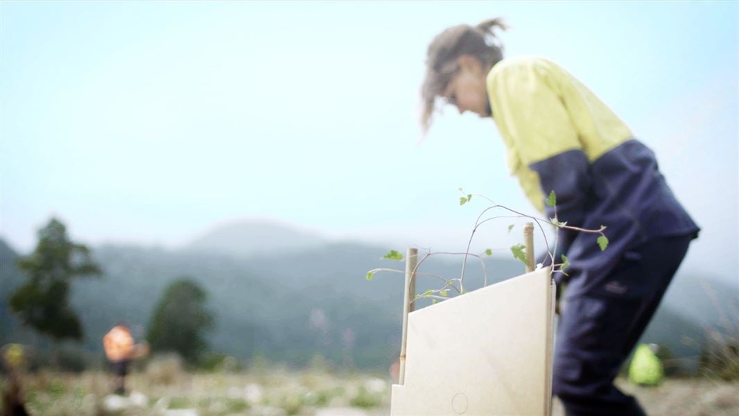 A person is seen out of focus using a spade