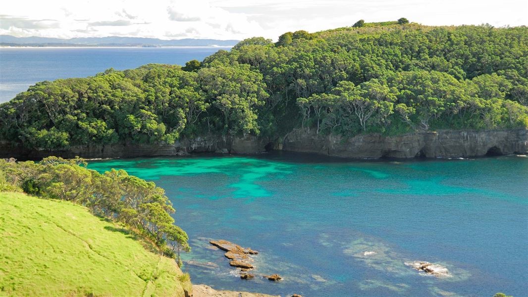 Rāhui at Cape-Rodney-Okakari Point (Goat Island) Marine Reserve: Media ...