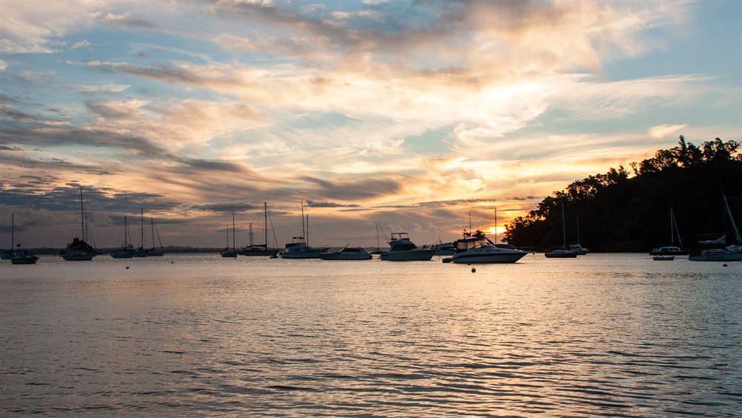 Rocky Bay, Waiheke. 