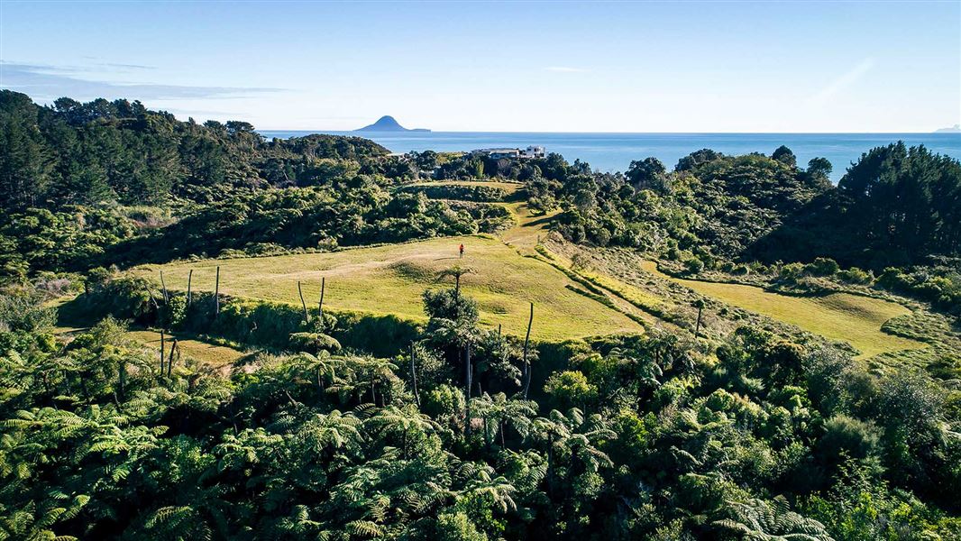 Aerial view of a hill that has been shaped into a triangle on the top. This is where a pā use to be.