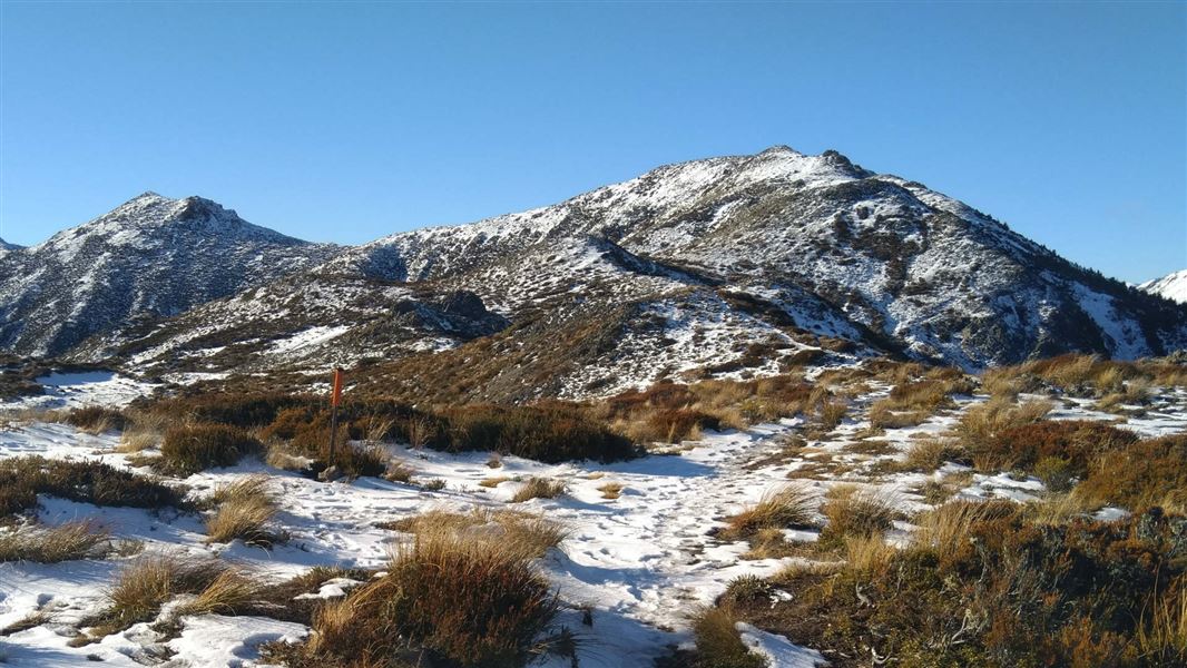 Mt Isobel track in winter.