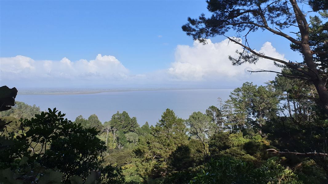 View from Rocky's Walk to Tinkers Gully track