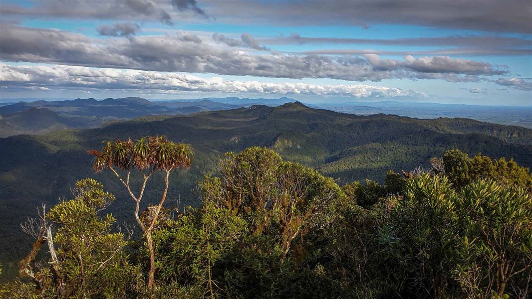 View from the Kairarikihi Track summit.