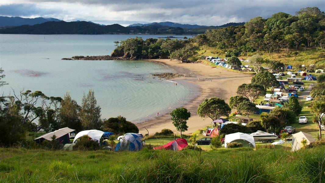 Whangaruru campsite, Puriri Bay. 