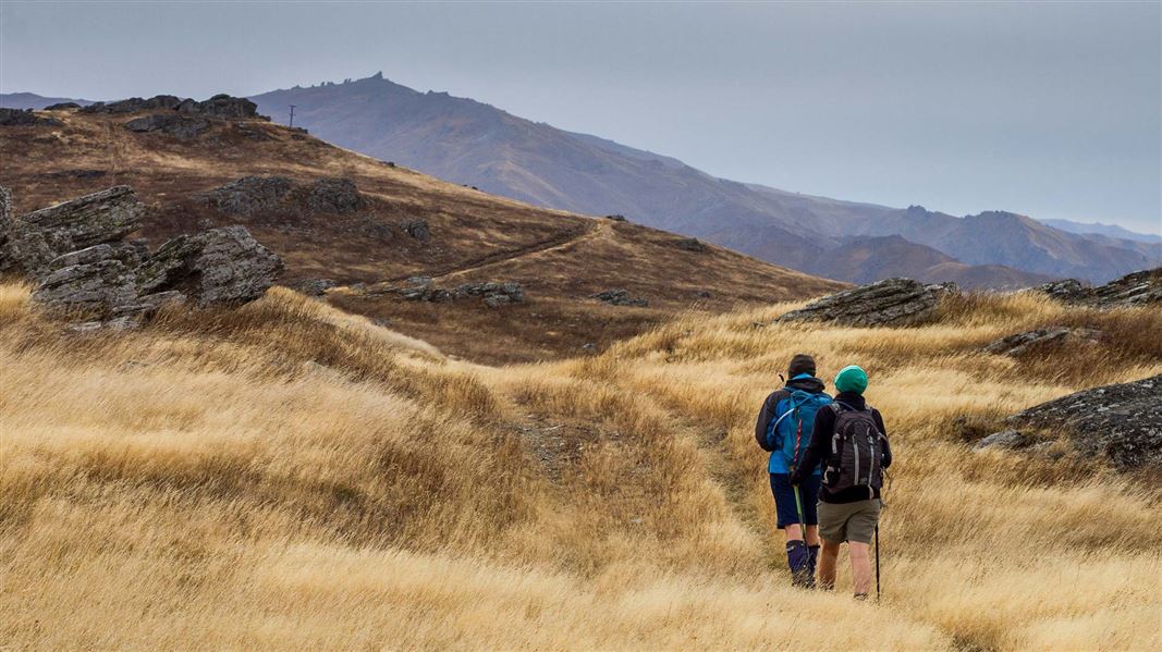 Two people walk along a ridge track surrounded by golden grass and slabs of rock.