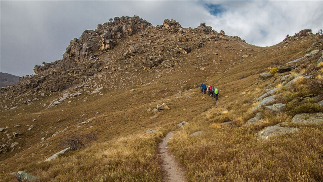 Track in grassy, rocky area.