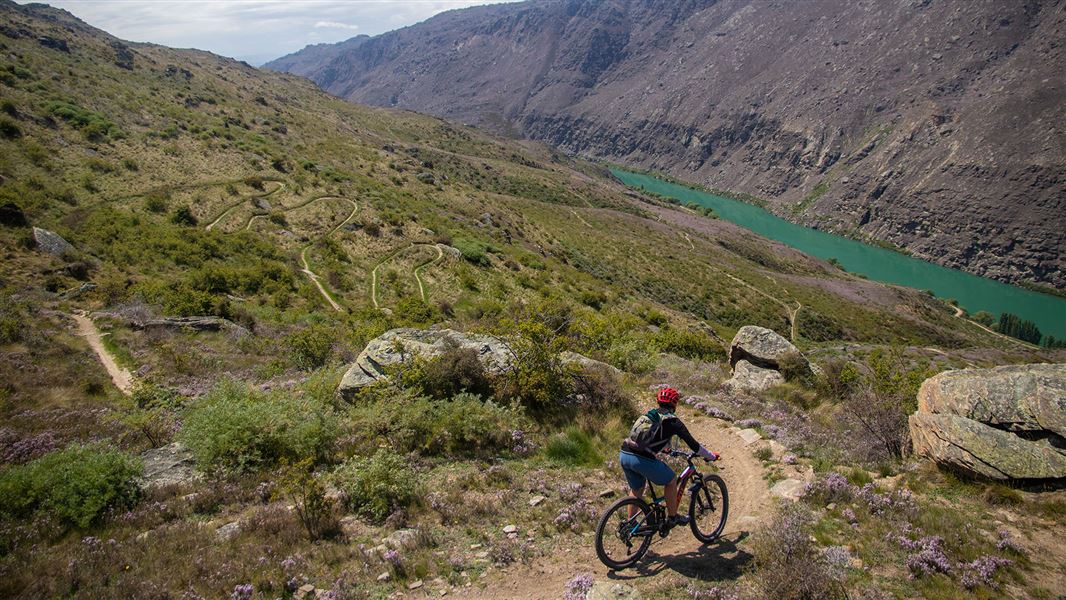 Person cycling on track along river.