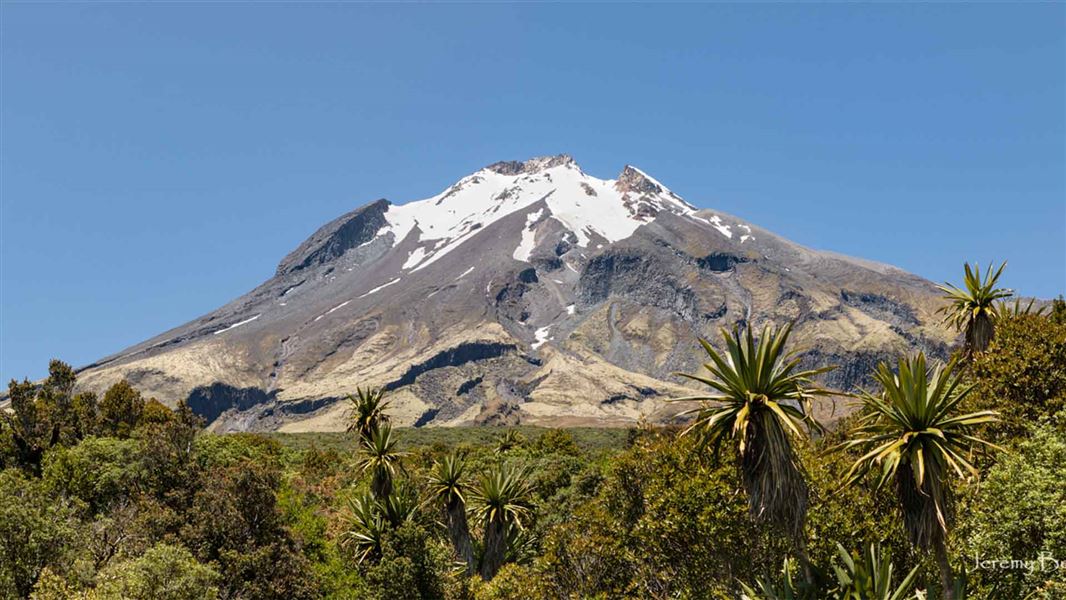 A pointy mountain sticks out above native forest.