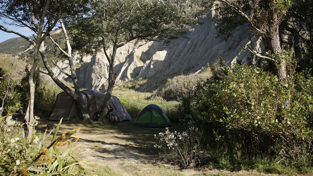 Tent pitched at campsite by trees.