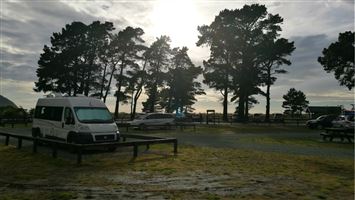Rarangi Campsite — photo 3