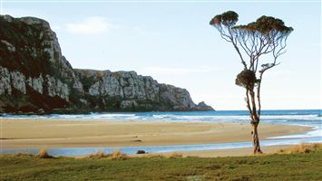 Pūrākaunui Bay Campsite — photo 3