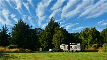 Tawanui Campsite — photo 3