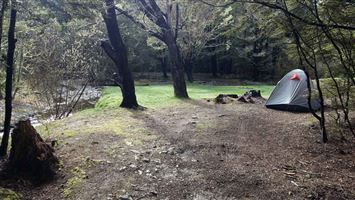 Mistletoe Flat Campsite — photo 3