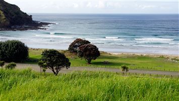 Tapotupotu Campsite — photo 3