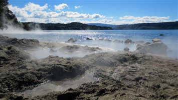 Hot Water Beach Campsite — photo 3