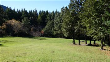 Wooded Gully Campsite — photo 3
