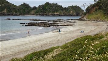 Otamure Bay (Whananaki) Campsite — photo 3