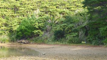 Waiona Bay Campsite — photo 3