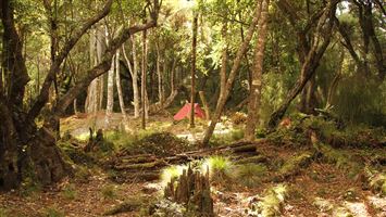 North Arm Campsite — photo 3
