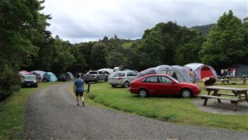 Whangaiterenga Campsite — photo 3