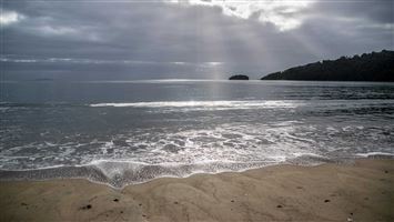 Māori Beach Campsite — photo 3