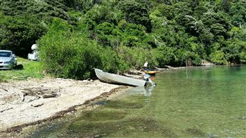 Nikau Cove Campsite — photo 3