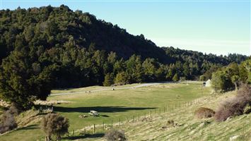 Waihi Gorge Campsite — photo 3