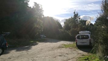 Kaimanawa Road Campsite — photo 3