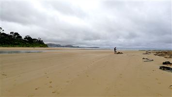 Papatowai Campsite — photo 3