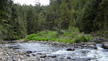 Dickey Flat Campsite — photo 3