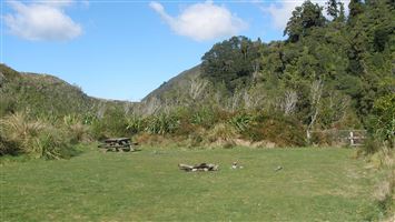 Waiohine Gorge Campsite — photo 3