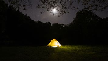 Wainora Campsite — photo 3