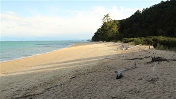 Apple Tree Bay Campsite — photo 3