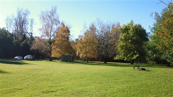 Pioneer Park Campsite — photo 4