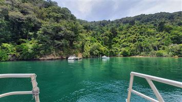Kumutoto Bay Campsite — photo 3