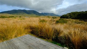 Gouland Downs Campsite — photo 3