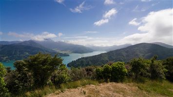 Bay Of Many Coves Campsite — photo 3