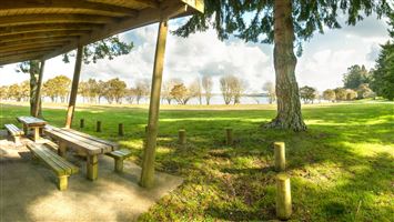 Rerewhakaaitu, Ash Pit Road Campsite — photo 3
