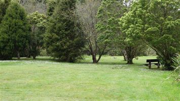 Kiriwhakapapa Campsite — photo 3