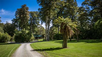 Pelorus Bridge Campground — photo 3