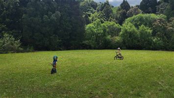 Kaniwhaniwha Campsite — photo 3