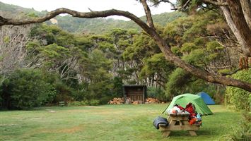 Whariwharangi Bay Campsite — photo 3