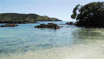 Maitai Bay Campsite — photo 3
