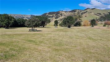 Anaura Bay Campsite — photo 3