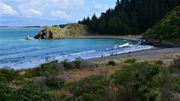Whites Bay Campsite — photo 3